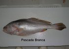Pescada Branca Inteira